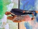 review thumbnail images 15