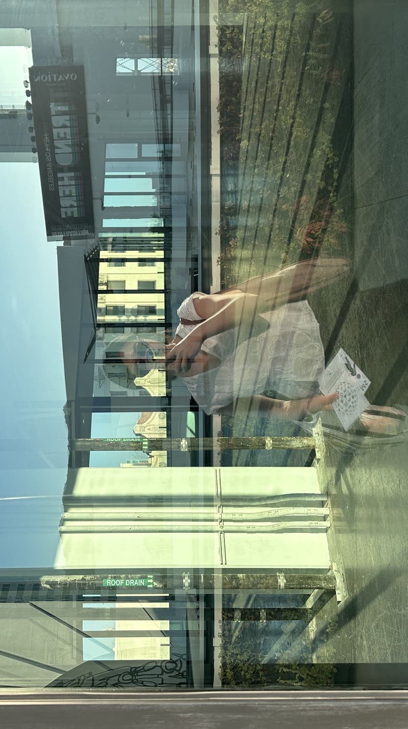 Member review photo