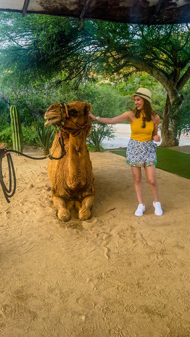 review thumbnail images 2