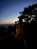 review thumbnail images 14