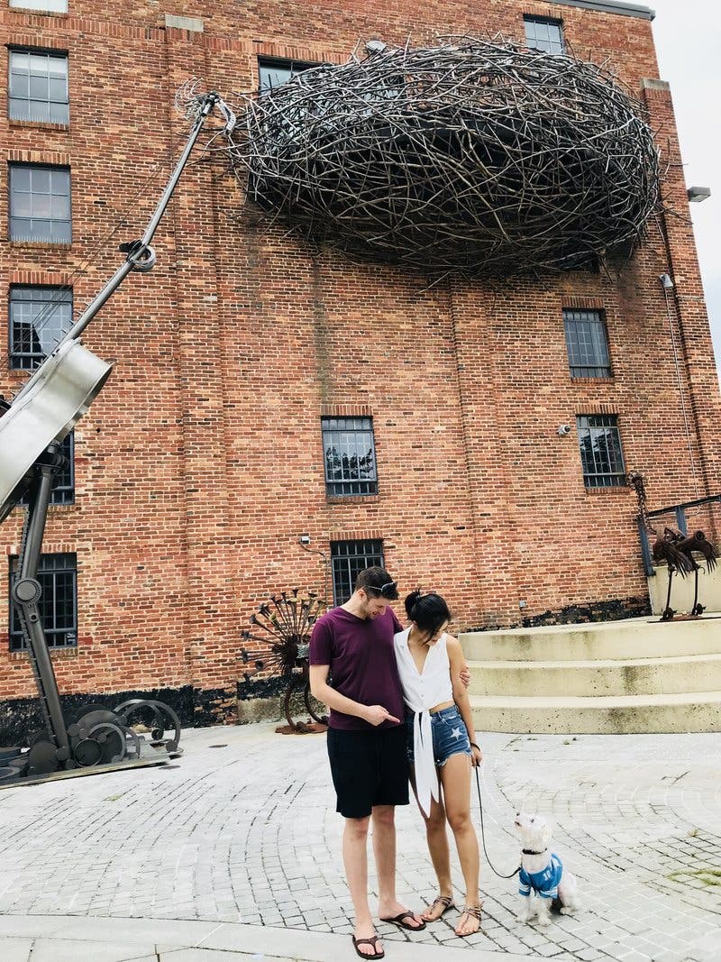 review thumbnail images 11