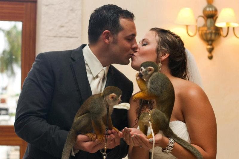 review thumbnail images 10