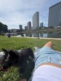 review thumbnail images 0