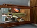review thumbnail images 0
