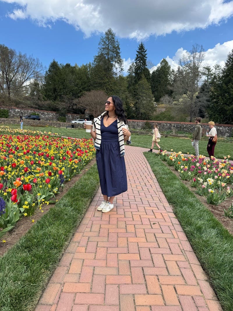 Franca Midi Dress by Rails | Rent the Runway