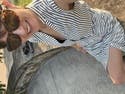 review thumbnail images 2