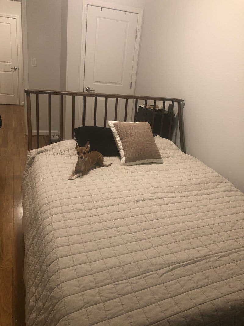 review thumbnail images 4