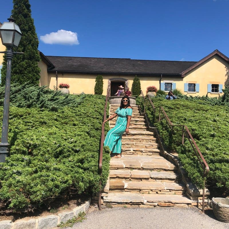 review thumbnail images 11