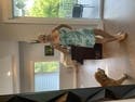 review thumbnail images 4