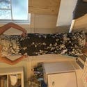 review thumbnail images 11