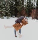 review thumbnail images 12