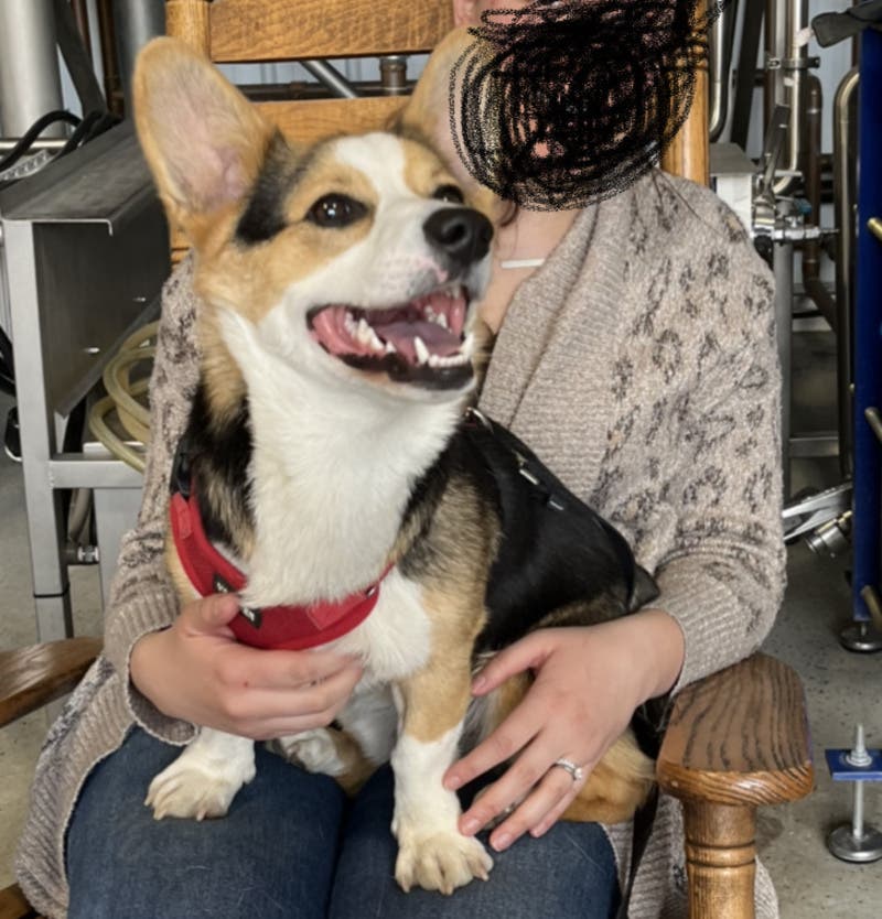 review thumbnail images 3