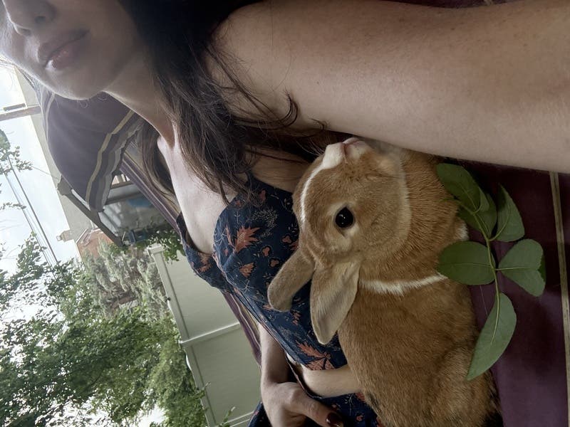 review thumbnail images 3