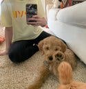 review thumbnail images 1