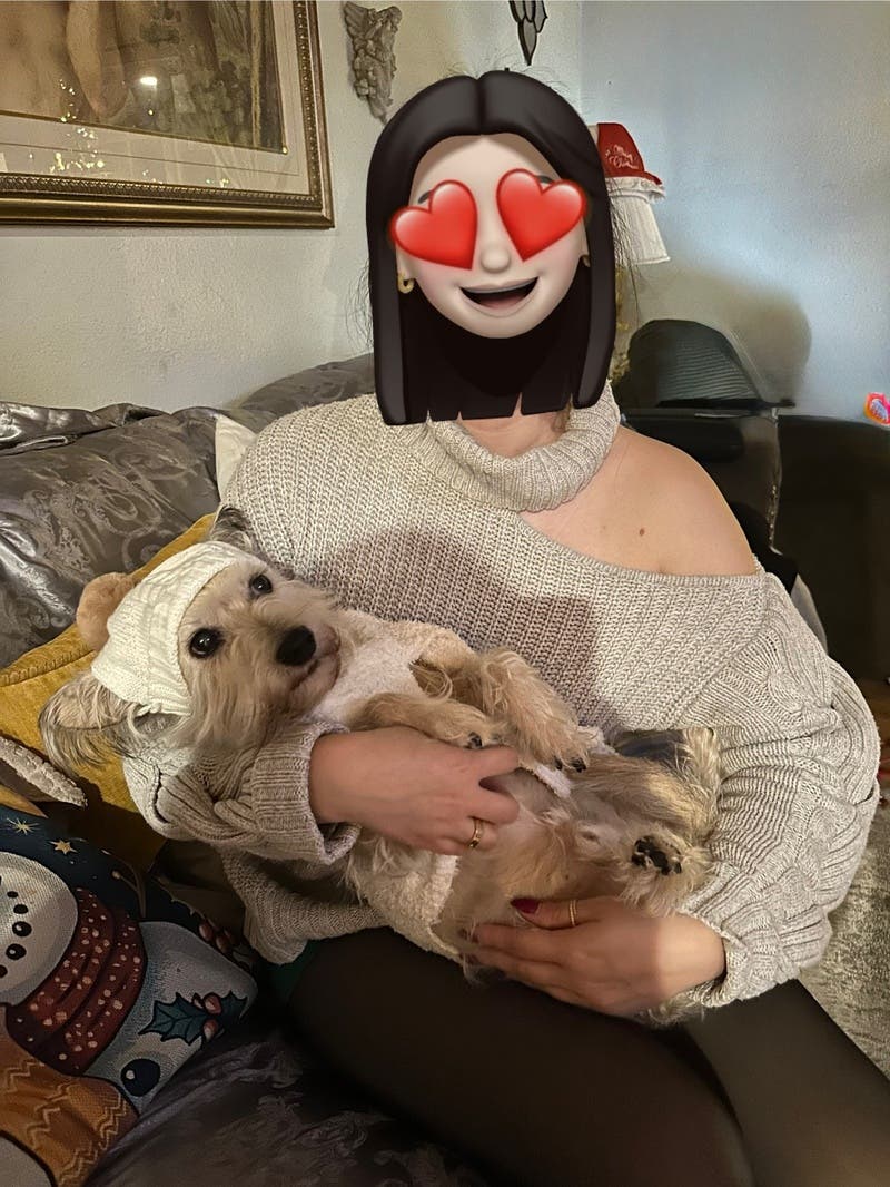 review thumbnail images 0