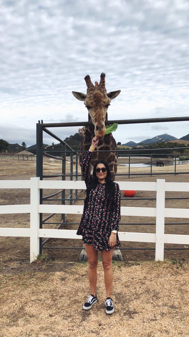 review thumbnail images 4