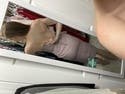 review thumbnail images 2