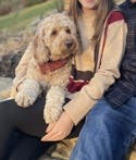 review thumbnail images 8