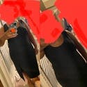 review thumbnail images 19
