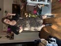 review thumbnail images 0