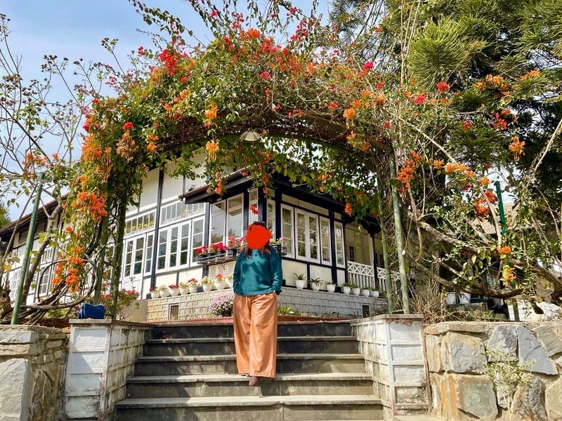 review thumbnail images 0