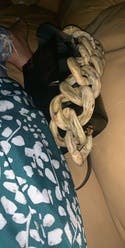 review thumbnail images 5