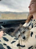 review thumbnail images 7