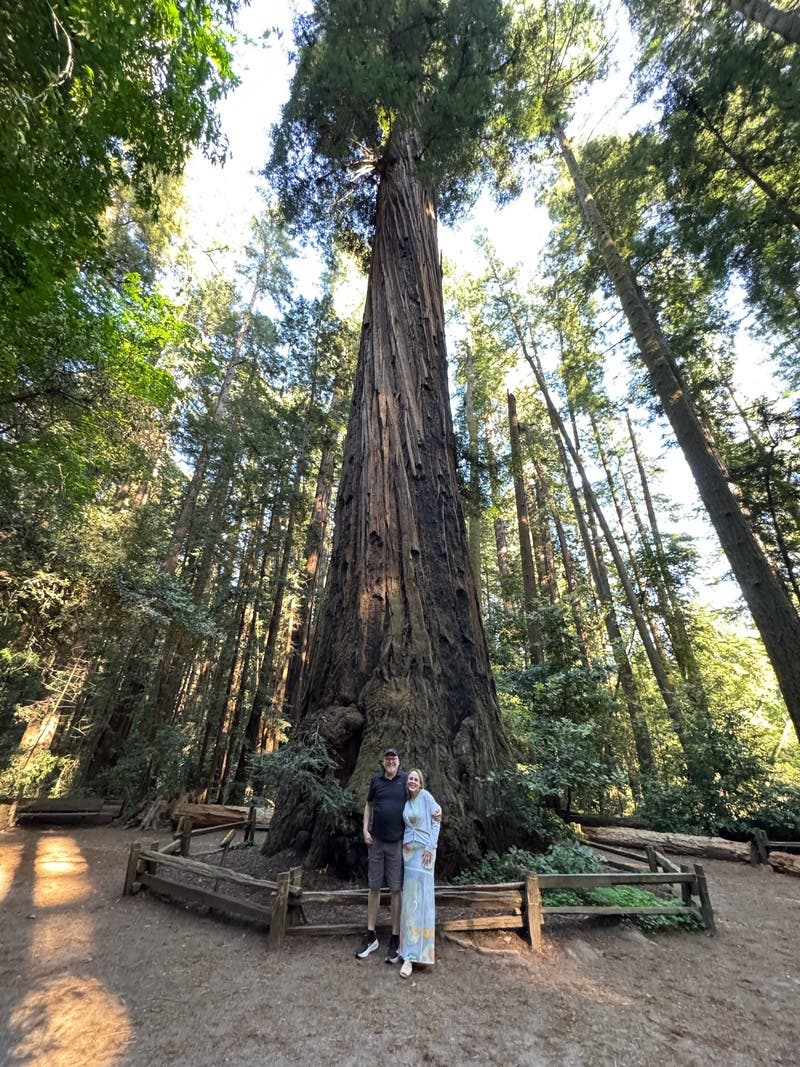 Member review photo