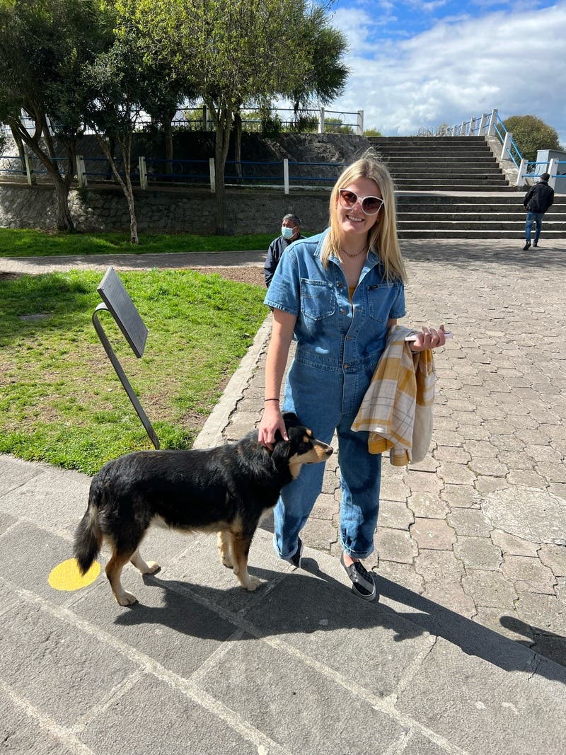 review thumbnail images 18