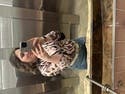 review thumbnail images 6