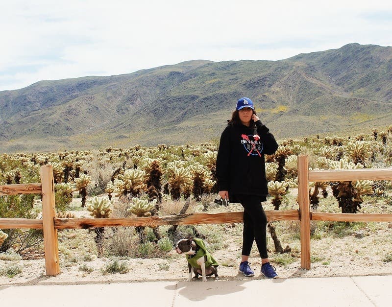 review thumbnail images 6