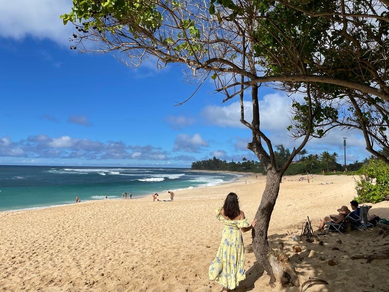 review thumbnail images 11