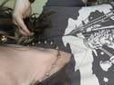 review thumbnail images 0
