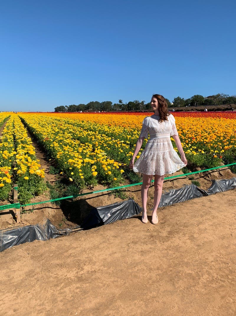 review thumbnail images 16