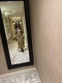 review thumbnail images 10