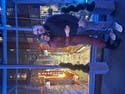 review thumbnail images 5