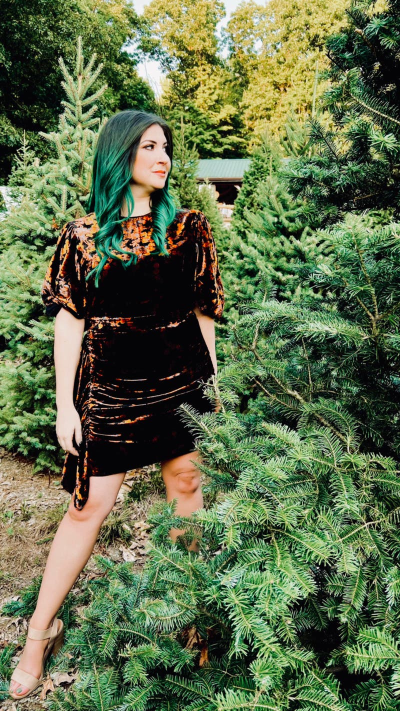 Pia Velvet Dress by RHODE | Rent the Runway