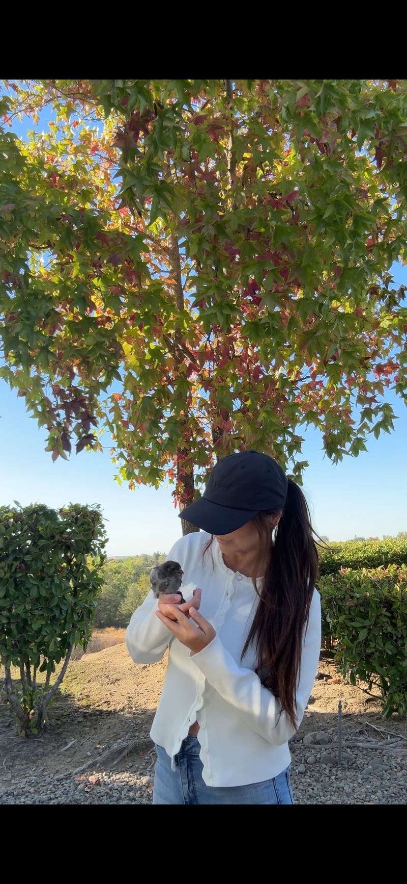 review thumbnail images 6