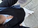 review thumbnail images 15