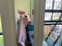 review thumbnail images 4