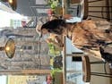review thumbnail images 7