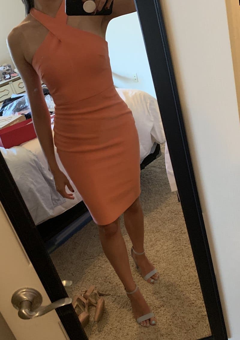 Holly