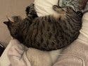 review thumbnail images 11