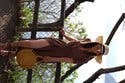 review thumbnail images 10