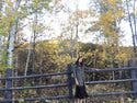 review thumbnail images 14