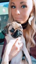review thumbnail images 11