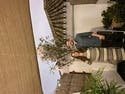 review thumbnail images 12