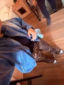 review thumbnail images 3