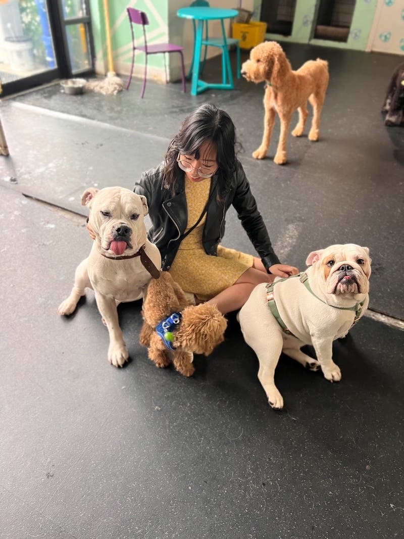 review thumbnail images 13