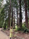 review thumbnail images 18